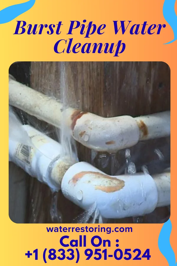 Burst Pipe Water Cleanup in Mazomanie, WI