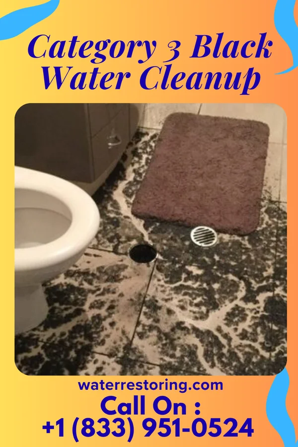Category 3 Black Water Cleanup in Mazomanie, WI