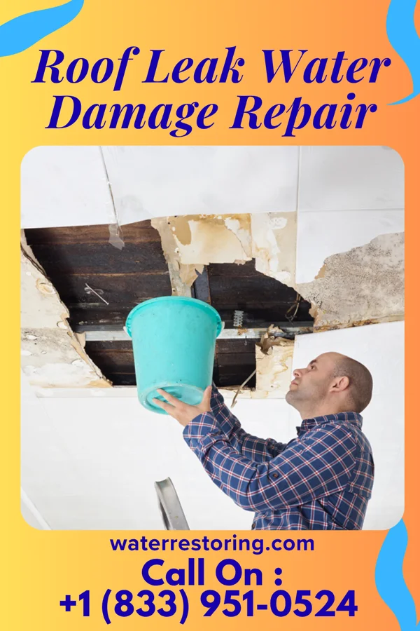 Roof Leak Water Damage Repair in Mazomanie, WI