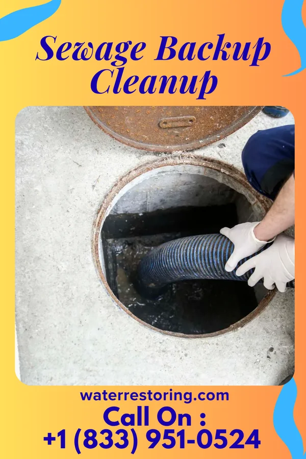 Sewage Backup Cleanup in Mazomanie, WI