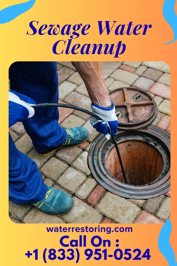 Sewage Water Cleanup in Mazomanie, WI